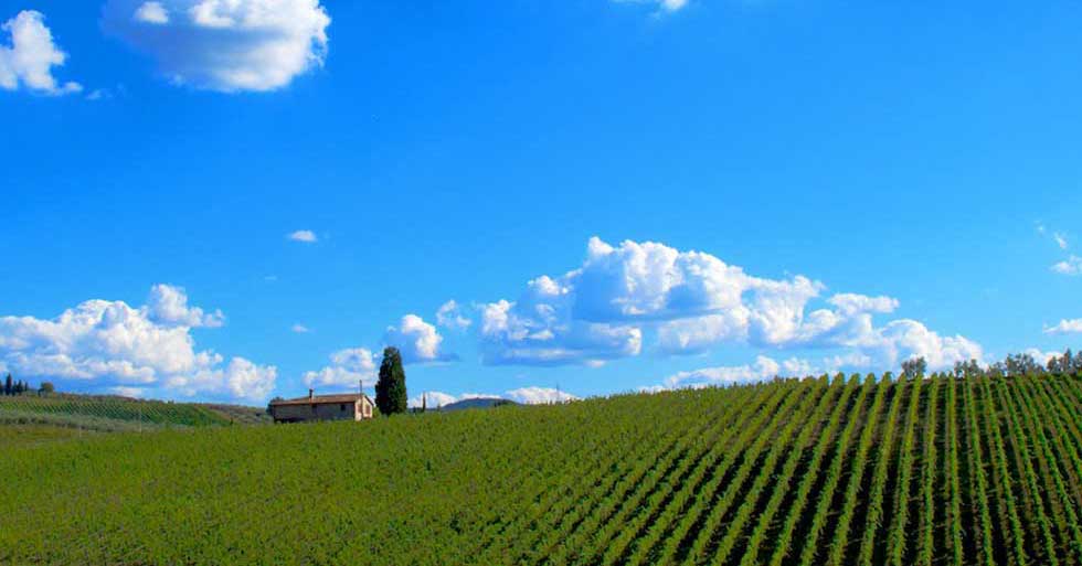 Wine and photo in a Castle in Chianti